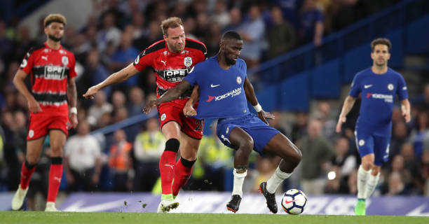 浙江队重回 浙江队重回