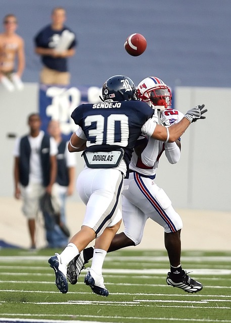 歷史的書寫 歷史的書寫
